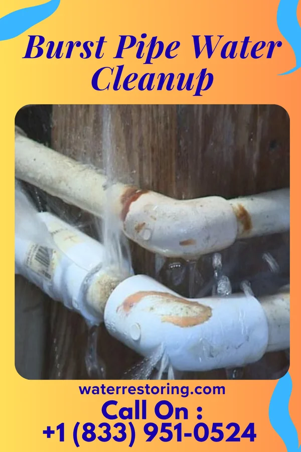 Burst Pipe Water Cleanup in Trion, GA